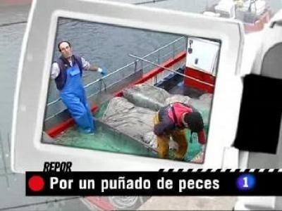 Por un puñado de peces