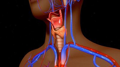 Tormenta endocrina