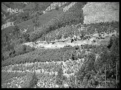 DE CANARIAS A MADERA