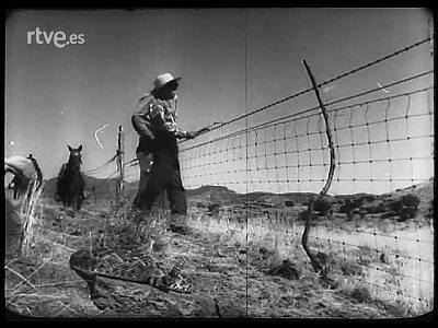 VAQUEROS Y CABALLISTAS