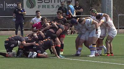 Liga División de Honor. 16ª jornada: CP Les Abelles - Pozuelo Rugby Unión