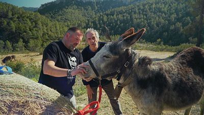 Serra d'Almos y Las Navas