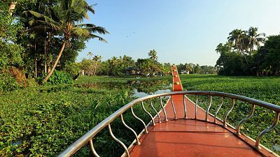 Kerala, el jardín de la India