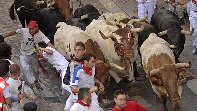 Vive San Fermín 2013 - Segundo encierro San Fermín 2013