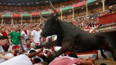 Vive San Fermín 2015 - Segundo encierro