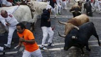 Vive San Fermín 2015 - Séptimo encierro