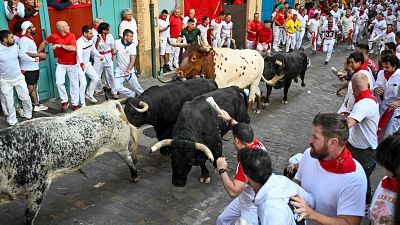 Vive San Fermín 2025 - Segundo encierro