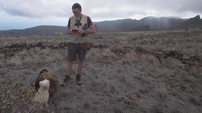 Temporada 3 - Episodio 63