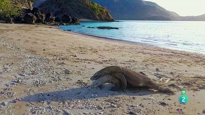 Grans Documentals - Blau endins | Komodo