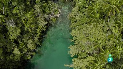 Grans Documentals - Blau endins | La Badia de Tritó