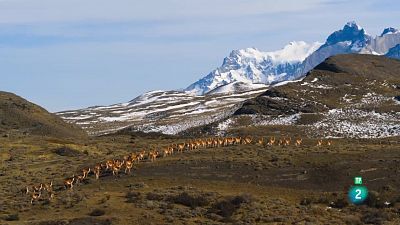 Grans Documentals - Edèn, paradisos remots: Patagònia, els confins de la Terra