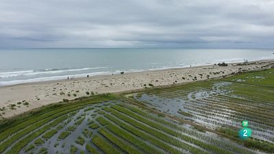 Grans Documentals - Espais naturals espectaculars: Del Torcal al Delta de l'Ebre