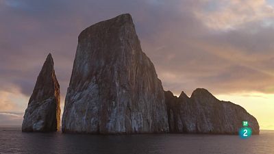 Grans Documentals - L'Equador, al cim de la biodiversitat: Dels alts Andes a les illes Galápagos