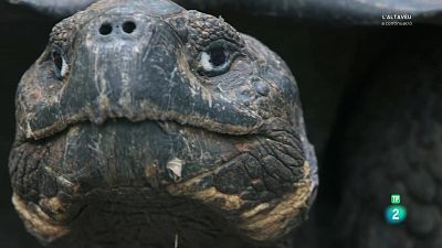 Grans Documentals - Llocs per visitar abans de morir. Ep 1: L'Amèrica del sud