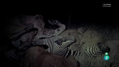 Grans Documentals - L'Okavango, el riu dels somnis. Episodi 3: L'infern.