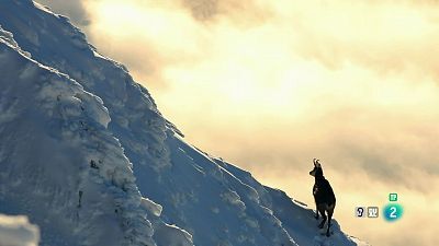 Grans Documentals - Muntanyes Tatras: La vida al límit