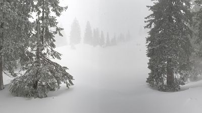 El blanco invierno, estación en el borde alpino