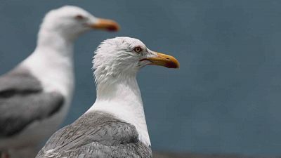 Las islas salvajes de Lanzarote
