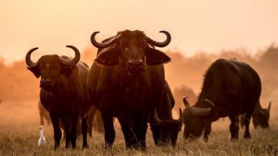 Los cambios de la naturaleza