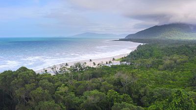Los orígenes de la Australia tropical