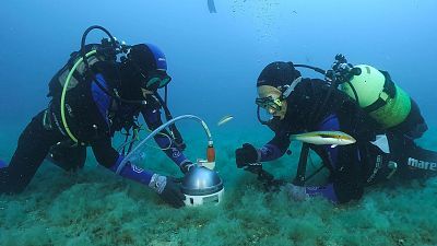 ¿Preparados para el Tsunami?