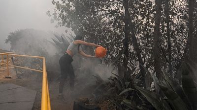 Telediario - 15 horas - 04/02/24 - Lengua de signos