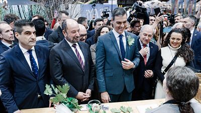 Telediario - 15 horas - 24/01/25 - Lengua de signos
