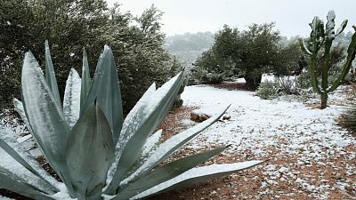 Telediario - 15 horas - 28/02/23 - Lengua de signos