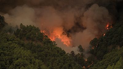 Telediario - 21 horas - 16/08/23 - Lengua de signos