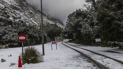 Telediario - 21 horas - 29/01/23 - Lengua de signos