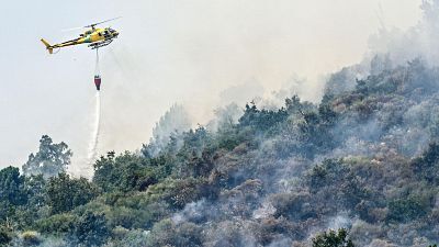Telediario - 8 horas - 04/08/25 - Lengua de signos