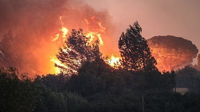 Telediario - 8 horas - 26/07/23 - Lengua de signos