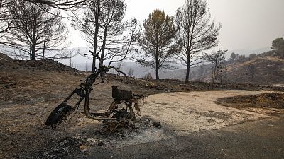 Telediario - 15 horas - 14/08/22
