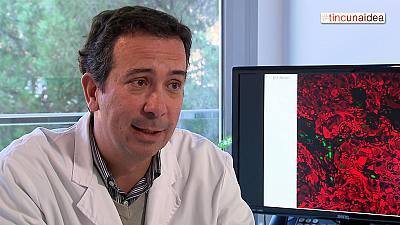 Joan Seoane, investigador de prestigi internacional sobre el càncer cerebral