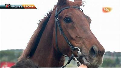 Carreras de caballos - 15/04/12