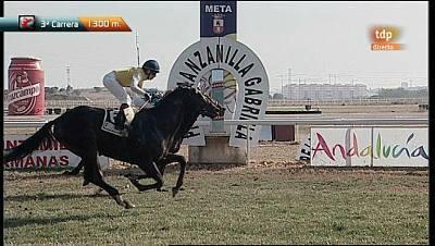 Carreras de caballos - 22/01/12