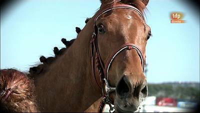 Carreras de caballos - 25/03/12