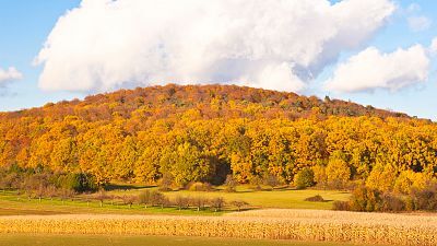 Alemania: Parque nacional Spessart