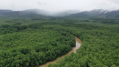 Bolivia 1: La Chiquitanía y el bosque amazónico