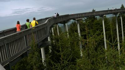 Bosque bávaro: Bosque encantado en el Sur de Alemania