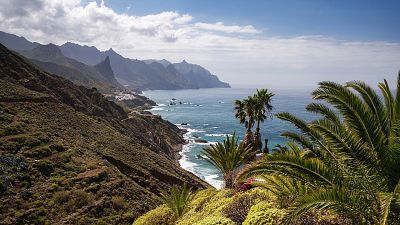 Tenerife y Gran Canaria