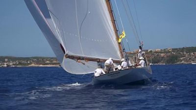 Copa del Rey de barcos clásicos