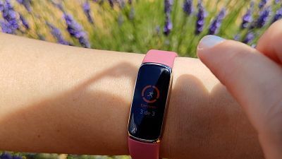 Grover, Toolbox Academy, Fitbit Luxe y Tecnología y belleza