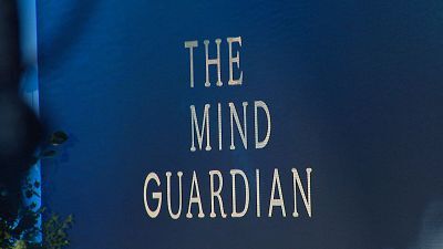 The Mind Guardian, Móviles tontos, Bnet vs Bnet y Assassins Creed Shadows