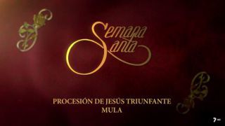 Procesión de Jesús Triunfante de Mula
