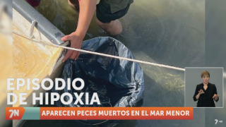 Jueves, 19 de mayo I