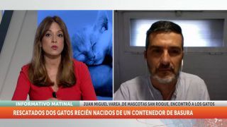 Jueves, 19 de mayo II