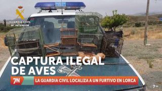 Jueves, 28 de julio II