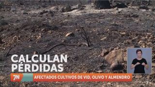 Miércoles, 17 de agosto I