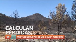 Miércoles, 17 de agosto II